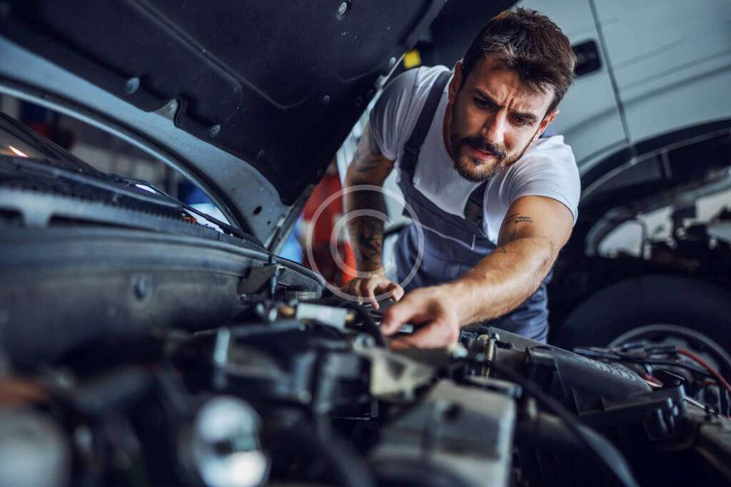 https://gtworks.es/portfolio/dynamic-restoration/